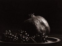 Fruit in the darkness  Canham DLC 45; Tele-Xenar 5.5/240, Bergger Pancro400@200  - 29.01.2022 -