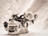 Maneki Neko und rosa Päonie  Pentax 6x7, SMC Takumar 2.8/150, Fuji Acros 100@64 : Stillleben, Päonie, Maneki-Neko, Vase