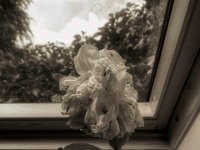 Pfingstrose #2  PENTAX K-3 Mark III Monochrome, HD PENTAX - DA* 2.8/ 11-18 ED DC AW  - 27.05.2024 -