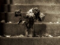 Abgestellt  PENTAX K-3 Mark III Monochrome, SMC PENTAX-FA 1.9/43 Limited  - 09.06.2025 -