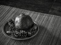 Baumfrüchte  PENTAX K-3 Mark III Monochrome, HD PENTAX - D FA* 1.4/50 SDM AW - 02.08.2025 -