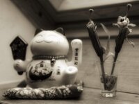 Lilie II  PENTAX K-3 Mark III Monochrome, HD PENTAX - DA* 2.8/ 11-18 ED DC AW  - 16.01.2026 -