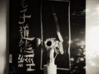 Sonnenblumen  Pentax 67II, SMC 2.4/105, Gelbfilter, KODAK TRI-X400@250   - 21.09.2024 -