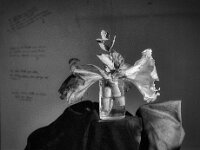 Ritterstern II  Pentax 67II, Super-Multi-Coated TAKUMAR/6x7 2.8/150, KODAK TRI-X 400  - 27.12.2025 -