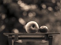 Apfel und Pflaume  Pentax 645N, 2.8/75, Adox CHS 100/64