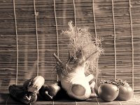 Fenchel, Tomaten und Co.  Pentax 67II, 4.0/200, 400TX/250