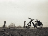 Deichrast  Fuji GW 690 III, Bergger Pancro 400 : Rheindeich, Fahrrad, homepage, Yakun Urban, Winora