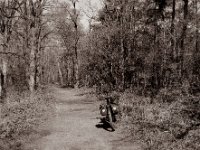 Waldweg Testerberge  Pentax 67II, SMC Takumar 4.5/75, Bergger Pancro400@200  - 16.04.2022 -