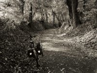 Halt im herbstlichen Hohlweg  Fuji GW 690 III, Bergger Pancro400@800