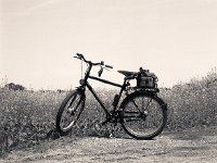 Fahrrad am Rapsfeld  Pentax 6x7; 2.4/105; Agfa APX 400/320