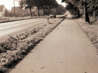 Vom Fahrradweg gesehen  Pentax K2, SMC 1.4/50; Ilford FP4plus@80