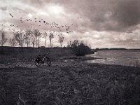 Das Rad und die Gänse am Fluss  Pentax 67II, SMC 4.0/200; Bergger Pancro 400@640