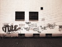 Die Wand - Sonntag, 8.September 2013, 10.30 Uhr  Pentax 67II, SMC Takumar 4.5/75, HP5+/800