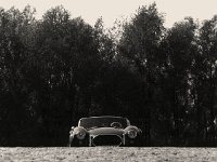 Shelby Cobra am Rhein bei Xanten  Pentax 6x7; 4/200; R3 - 3.September 2004 -