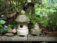 Klein Asien  PENTAX K-1, HD PENTAX - HD PENTAX - D FA* 1.4/50 SDM AW - 24.05.2025 -