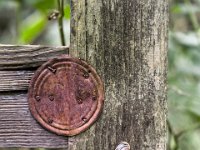 Die Schnecke am Torii  Pentax K-1, HD Pentax D-FA*1.4/50 SDM AW   - 22.10.2021 -