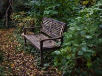 Gartenbank im Herbst  Pentax K-1, HD Pentax D-FA*1.4/50 SDM AW   - 01.11.2021 -