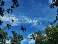 Wolkenbild  Pentax K-1, HD Pentax - D FA*  1.4/50 SDM AW  - 11.07.2023 - : Pflanzen, Wolken, Himmel, Fenster Ausblick