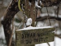 Schau wohin du trittst  Pentax K-1, Pentax D FA* 1.4/50 SDM AW  07.02.2021 -