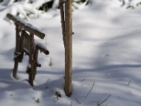 Brüderchens Ruhe  Pentax K-1, HD Pentax-D FA* 2.8/70-200 ED DC AW   - 09.02.2021 -