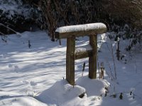 Katzenspur am Torii  Pentax K-1, HD Pentax-D FA* 2.8/70-200 ED DC AW   - 09.02.2021 -