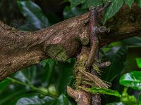 Stütze  Pentax K1, HD PENTAX - HD PENTAX - D FA* 2.8/70-200 ED DC AW  - 01.07.2024 -