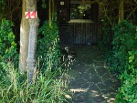 vierzehn  Pentax K1, HD PENTAX - HD PENTAX - D FA 2.8/24-70 ED SDM WR  - 29.07.2024 -