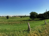 Am Rheindeich entlang 31.August 2016 : Deich, Kühe, Landschaft, Panorama, Rhein, Rheinbrücke, Rheinwiesen, Weg, Weide