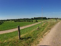 Rheinvorland : Deich, Kühe, Landschaft, Panorama, Rhein, Rheinbrücke, Rheinwiesen, Weg, Weide