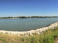 Niedrigwasser 31.August 2016 : Deich, Fahrrad, Landschaft, Panorama, Rhein, Wasser, Weg