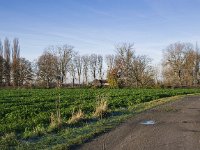 Weg zum Pumpenhaus  Pentax K-1, SMC PENTAX-FA 1.8/31 AL Limited  - 01.12.2024 -