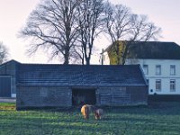 Offenstall  Pentax K-1, SMC PENTAX-FA 1.8/31 AL Limited  - 01.12.2024 -