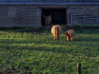 Highlander  Pentax K-1, SMC PENTAX-FA 1.8/31 AL Limited  - 01.12.2024 -