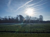 Wintersonne  Pentax K-1, SMC PENTAX-FA 1.8/31 AL Limited  - 01.12.2024 -