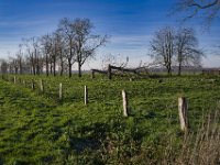 Die Reihen lichten sich  Pentax K-1, SMC PENTAX-FA 1.8/31 AL Limited  - 01.12.2024 -