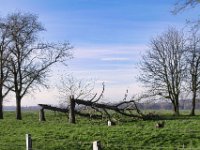 Sturmopfer  Pentax K-1, SMC PENTAX-FA 1.8/31 AL Limited  - 01.12.2024 -