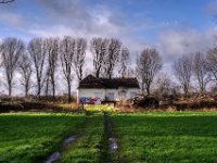 Die Bäume vor dem Pumpenhaus wurden abgeholzt