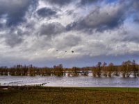 Gänseflug