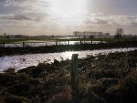 Wasser auf den Weiden