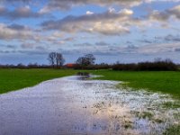 Wasser auf der Weide