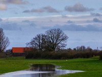 Reiher