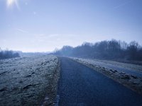 Auf dem Rheindeich  Pentax K-1, SMC PENTAX-FA 1.9/43 Limited  - 03.03.2025 -