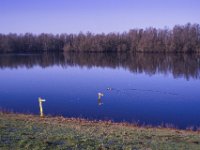 Kleiner See hinterm Deich  Pentax K-1, SMC PENTAX-FA 1.9/43 Limited  - 03.03.2025 -