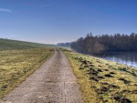 Blesshühner auf dem Weg zum See  Pentax K-1, SMC PENTAX-FA 1.9/43 Limited  - 03.03.2025 -