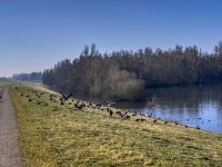 Jetzt aber schnell  Pentax K-1, SMC PENTAX-FA 1.9/43 Limited  - 03.03.2025 -