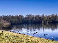 Ab ins Wasser  Pentax K-1, SMC PENTAX-FA 1.9/43 Limited  - 03.03.2025 -