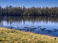 Geschafft  Pentax K-1, SMC PENTAX-FA 1.9/43 Limited  - 03.03.2025 -