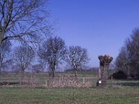 Geschnitten  Pentax K-1, SMC PENTAX-FA 1.9/43 Limited  - 03.03.2025 -