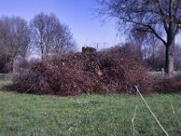 Schnittgut  Pentax K-1, SMC PENTAX-FA 1.9/43 Limited  - 03.03.2025 -
