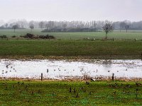 Kleiner Fluss in den Weiden  Pentax K-1, HD PENTAX - D FA* 1.4/50 SDM AW  - 06.03.2024 -